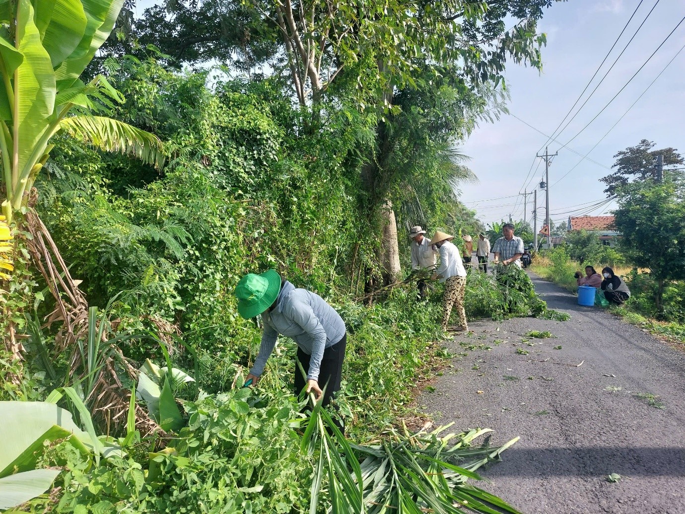 Cán bộ công chức xã Bình Phú ra quân chặt tỉa cây xanh ven đường, khuôn viên trụ sở, các công trình công cộng